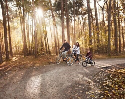 Center Parcs Gasten
