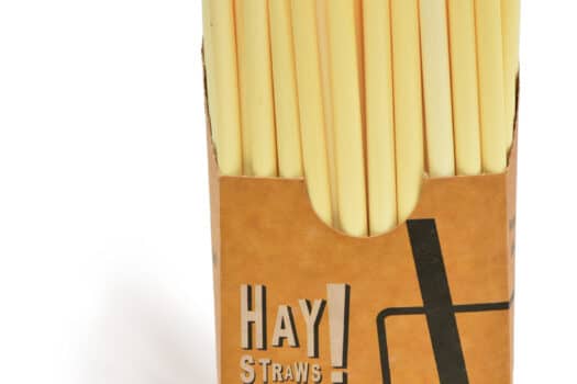 StrawZ - 100% natuurlijke rietje