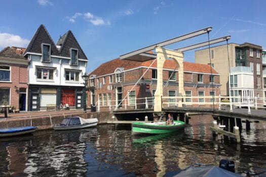 Greenjoy varen in de stad