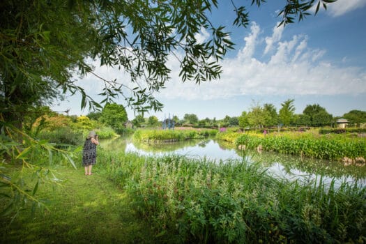 Land van Maas en Waal