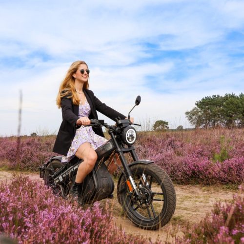 Vakantiepark De Boshoek e-chopper