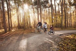 Vakantiegangers brengen herfstvakantie liefst door in eigen land 