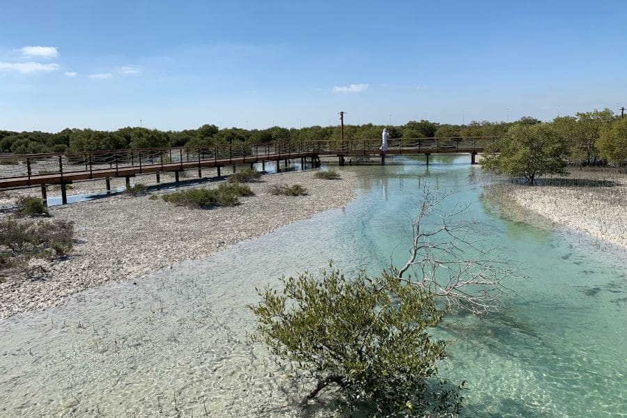 Verenigde Arabische Emeraten mangrove waterrecreatie